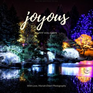 Denver holiday lights and well wishes from Mariah Ehlert Photography